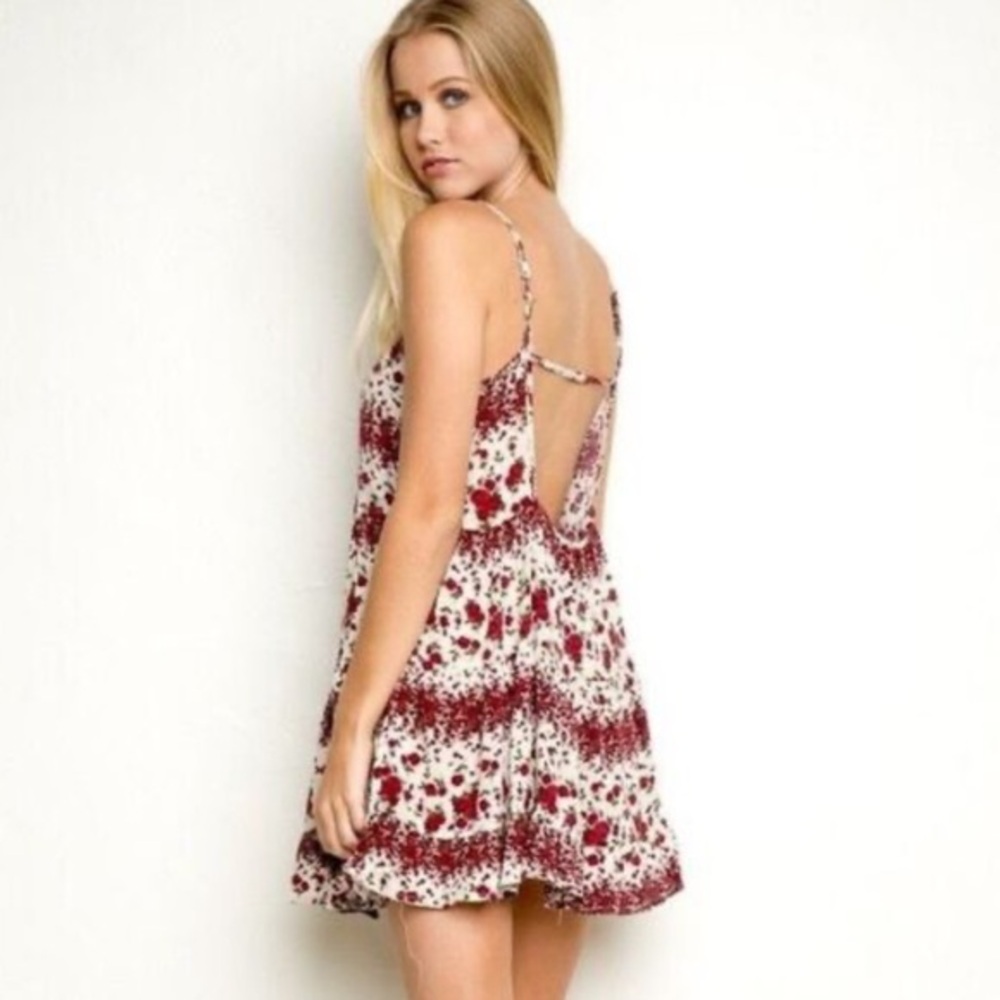 Brandy Melville Gaby Mini Dress White Red Roses One Size